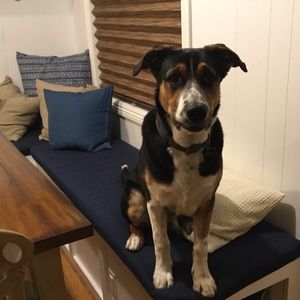 Meet your Posher, Melinda